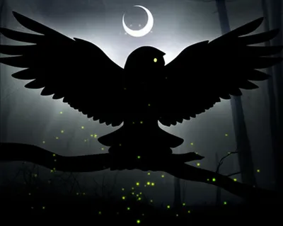 Illustration nocturnal - Image 1