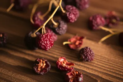 Illustration peppercorns