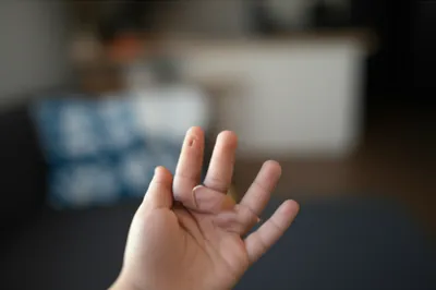 Illustration spelk - Image 1