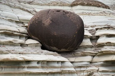 Illustration bosses - Image 1