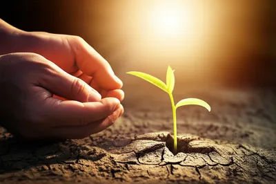 Illustration creed - Image 1