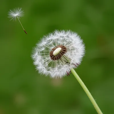 Illustration defying - Image 1