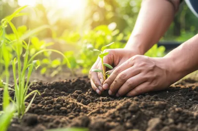 Illustration burying - Image 1