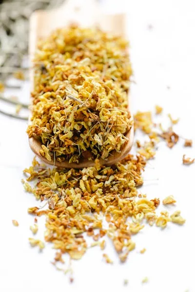 Illustration naturalistic - Image 2