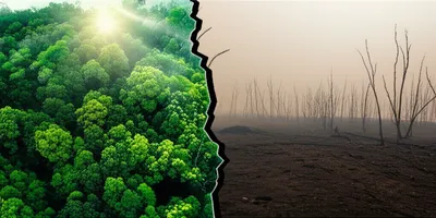 Illustration drastically