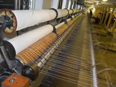 Illustration mule - Image 2