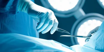 Illustration cutters - Image 1