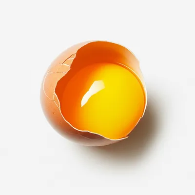 Illustration separating - Image 1