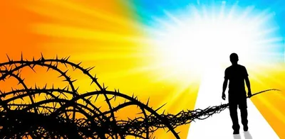 Illustration avoids - Image 1