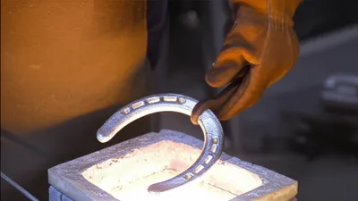 Illustration silvers - Image 1