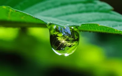 Illustration lucid - Image 1