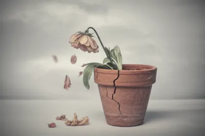 Illustration dropping - Image 1