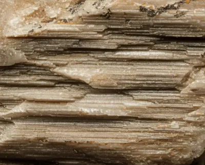 Illustration parting - Image 1