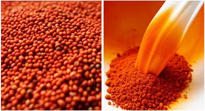 Illustration achiote - Image 2