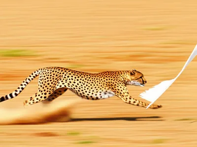 Illustration sped - Image 1