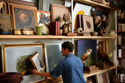 Illustration curator