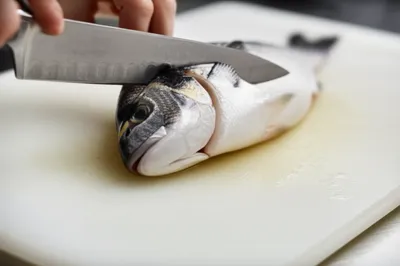 Illustration headed - Image 1