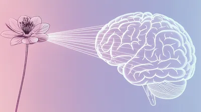 Illustration attaches - Image 1