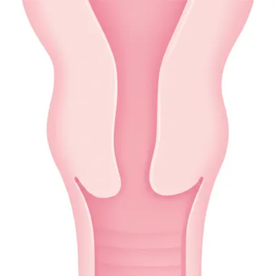 Illustration cervix - Image 1