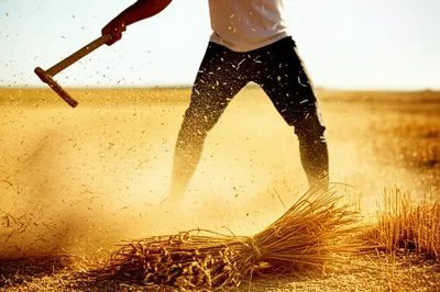 Illustration dowse - Image 1