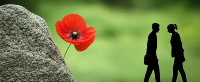 Illustration spacing - Image 1