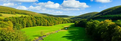 Illustration temperate - Image 1