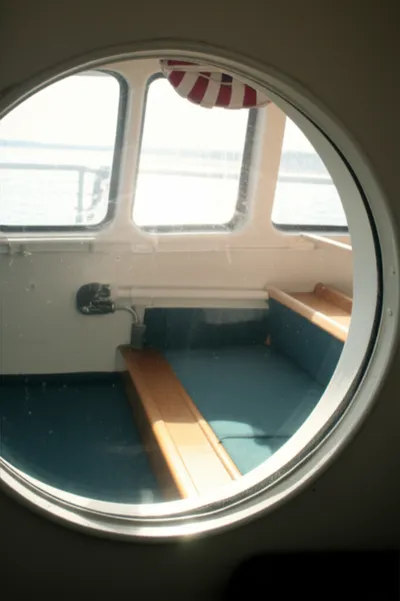 Illustration bulls - Image 1