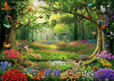 Illustration abounds - Image 1