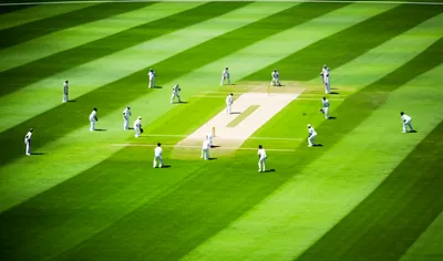 Illustration outfield - Image 1