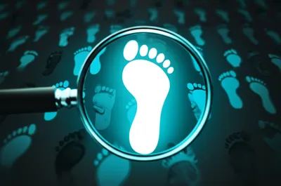 Illustration finding - Image 1