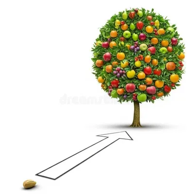 Illustration antecedents - Image 1