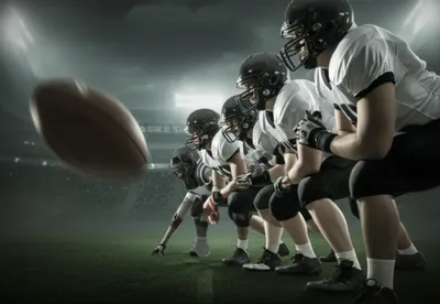 Illustration secondaries - Image 1