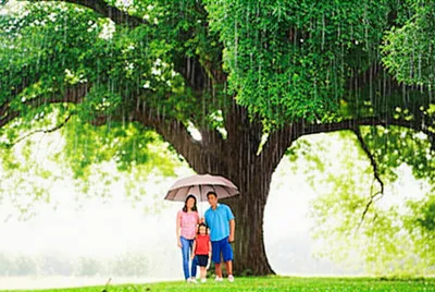 Illustration sheltering - Image 1