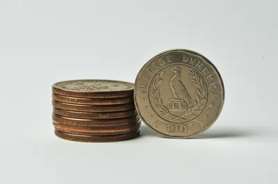 Illustration escudo - Image 1