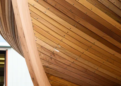 Illustration chase - Image 1