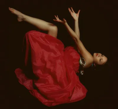 Illustration flamencos - Image 2