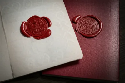 Illustration chops - Image 1