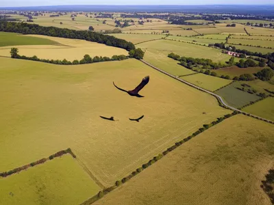 Illustration planed - Image 1