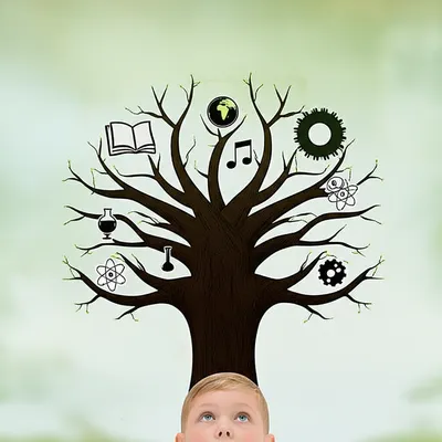 Illustration enquiries