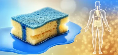 Illustration absorbed - Image 1