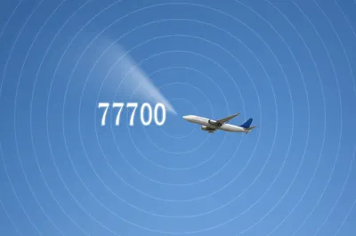 Illustration squawk - Image 1