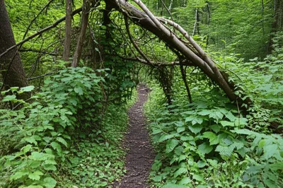 Illustration barred - Image 1