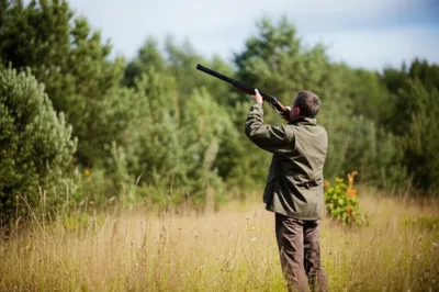 Illustration gun - Image 1