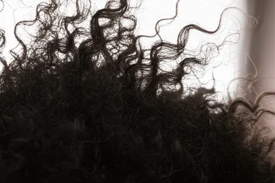 Illustration frizzy - Image 1