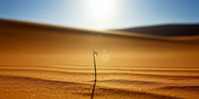 Illustration molecules - Image 1