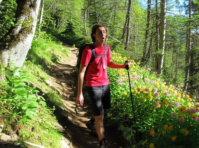 Illustration finds - Image 1