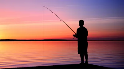 Illustration tending - Image 1