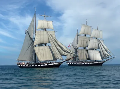 Illustration blanketing - Image 1