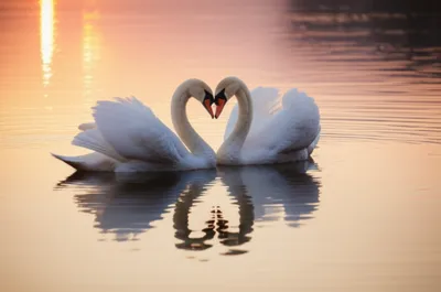 Illustration twain - Image 1