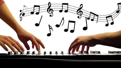 Illustration harmonize - Image 1